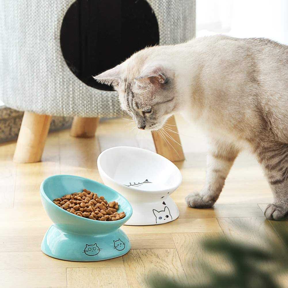 Elevated Ceramic Cat Bowls for Food and Water, Slanted Design for Spine Protection, Stress-Free Feeding with Backflow Prevention (White)