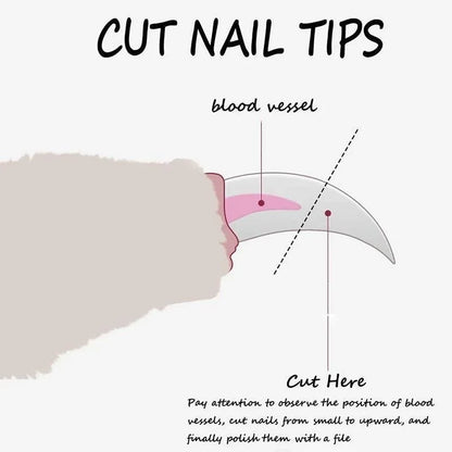 Professional Pet Nail Clippers for Dogs and Cats - Essential Grooming Tools for Claw Maintenance