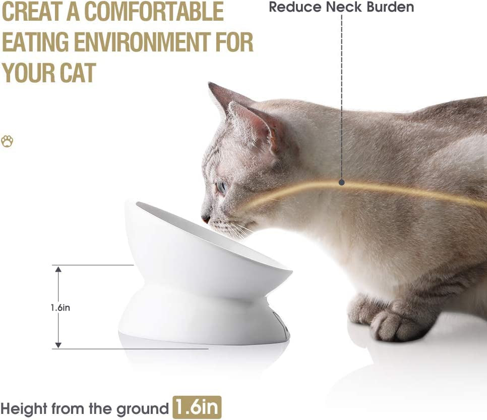 Elevated Ceramic Cat Bowls for Food and Water, Slanted Design for Spine Protection, Stress-Free Feeding with Backflow Prevention (White)