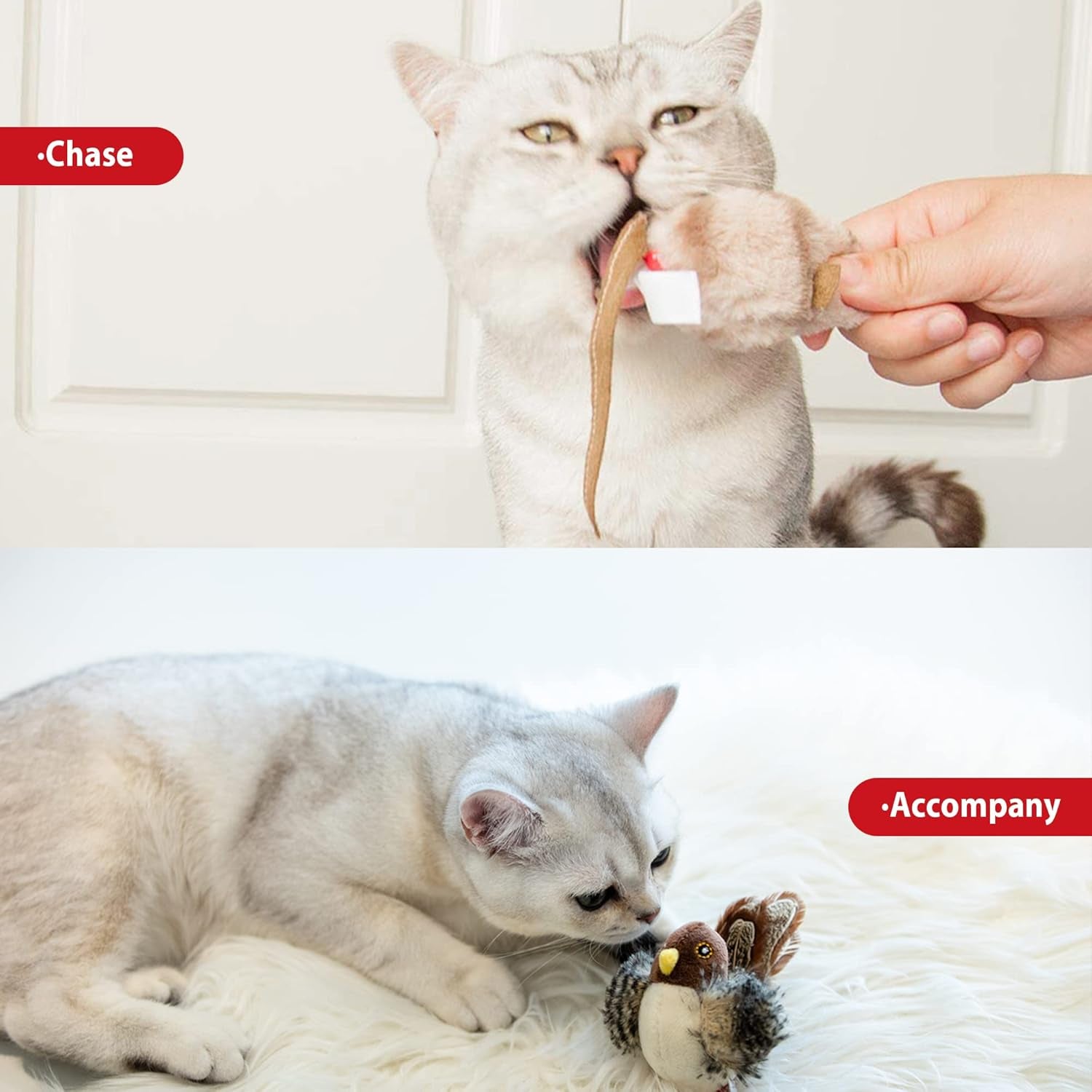 Interactive Motion-Activated Chirping Bird Cat Toy Set for Indoor Cats of All Breeds