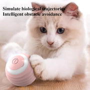 Interactive Cat Toy Ball 360° Automatic Rotating Rolling Ball Accessories for Cats Toys With USB Charging Function Pet Things