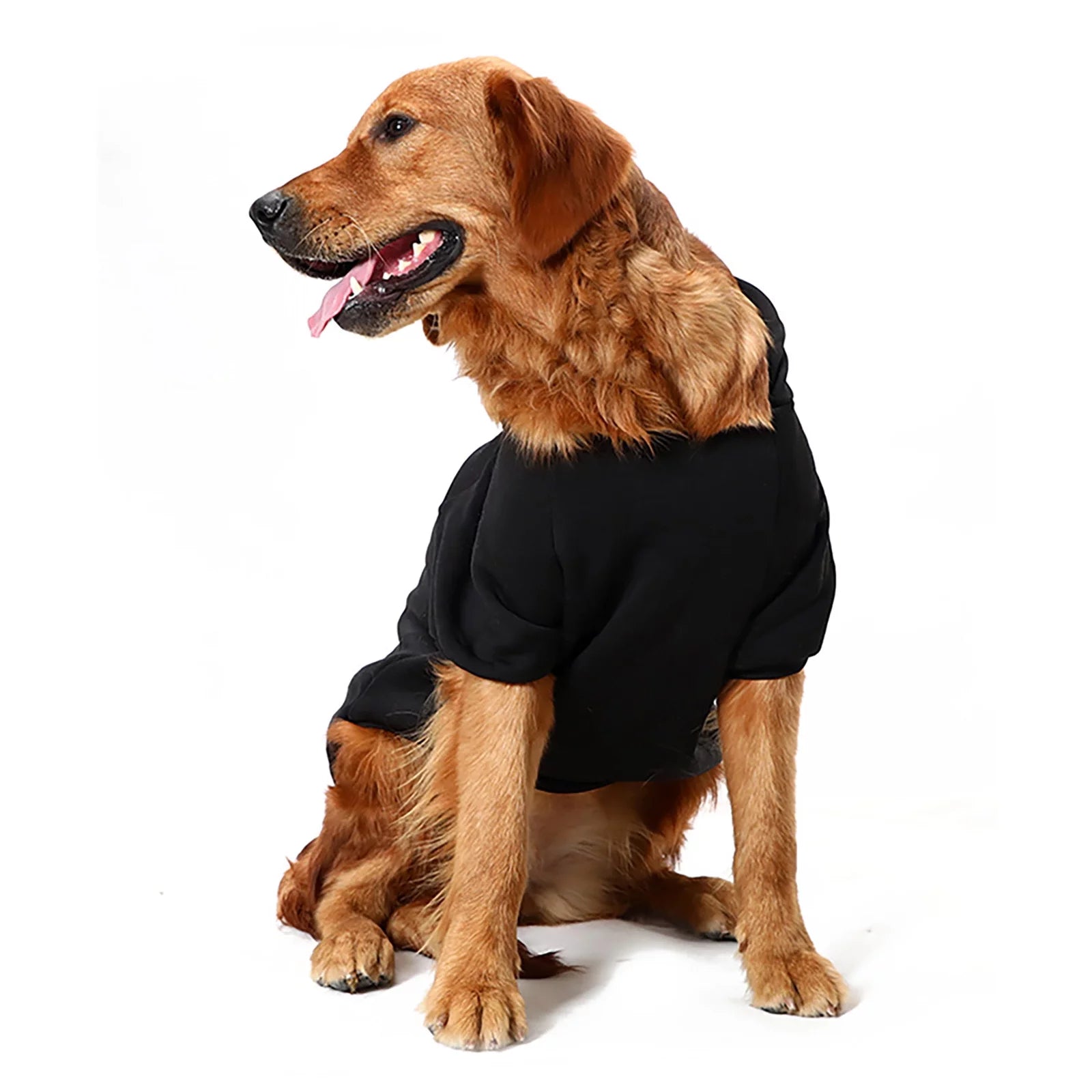 Elegant Dog Sweaters for Small Breeds - Tutu Pet Apparel for Both Male and Female Dogs