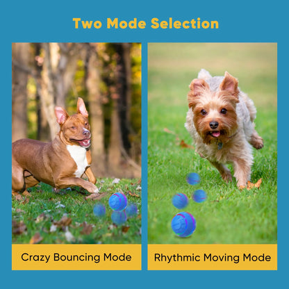 Interactive LED Dog Ball - USB Rechargeable Active Rolling Toy for Medium to Large Dogs, Blue